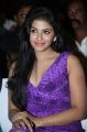 Actress Anjali Hot Photos at Balupu Movie Success Meet