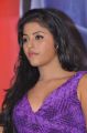 Actress Anjali Hot Photos at Balupu Success Meet