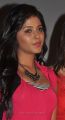Actress Anjali Hot Pics at Settai Audio Release