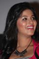 Actress Anjali Hot Pics at Settai Audio Release