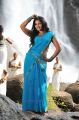 Actress Anjali Hot Spicy Blue Saree Photos in Masala Movie