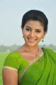 Actress Anjali Green Saree Photos in Masala Movie