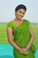 Telugu Actress Anjali Hot Green Saree Photos in Masala Movie