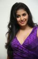 Actress Anjali Hot Spicy Pictures in Violet Tight Skirt