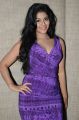 Telugu Actress Anjali Hot Pictures in Violet Tight Skirt