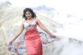 Settai Anjali Hot Pics