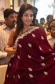 Actress Anjali Photos in Silk Saree