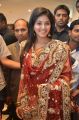 Actress Anjali in Silk Saree Beautiful Photos