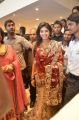 Tamil Actress Anjali Photos in Silk Saree