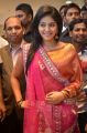 Actress Anjali in Silk Saree Beautiful Photos