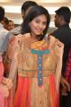 Tamil Actress Anjali in Saree Cute Photos