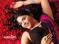 Tamil Actress Anjali Recent Photoshoot Stills