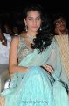 Anjali Lavania Hot in Saree Stills