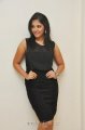 Anjali Photo Shoot Stills