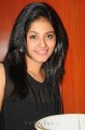 Anjali Photo Shoot Stills