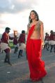 Kalakalappu Anjali Hot Pics in Red Saree