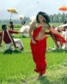 Masala Cafe Movie Anjali Hot in Red Saree Stills
