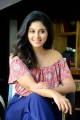 Actress Anjali @ Vakeel Saab Movie Interview Photos