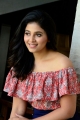 Vakeel Saab Actress Anjali Interview Photos