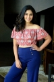 Vakeel Saab Movie Actress Anjali Interview Photos