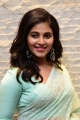 Telugu Actress Anjali Light Green Saree Photos @ Vakeel Saab Maguva Event