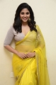 Vakeel Saab Movie Heroine Anjali Yellow Saree Photos