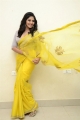 Actress Anjali Yellow Saree Photos @ Vakeel Saab Pre-Release