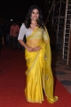 Actress Anjali Yellow Saree Photos @ Vakeel Saab Pre-Release