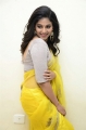 Actress Anjali Yellow Saree Photos @ Vakeel Saab Pre-Release