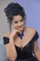 Actress Anketa Maharana Hot Photos @ 4 Letters Audio Launch