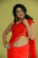 Ullala Ullala Movie Actress Anketa Maharana Red Saree Stills