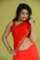 Actress Anketa Maharana Red Saree Stills @ Ullala Ullala Movie Interview