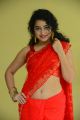 Ullala Ullala Movie Actress Anketa Maharana Red Saree Stills