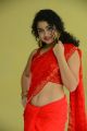 Actress Anketa Maharana Red Saree Stills @ Ullala Ullala Movie Interview