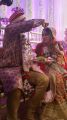 Actress Ankita Jhaveri Vishal Jagtap Marriage Photos