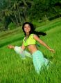 Actress Ankita Shrivastav Latest Hot Photos