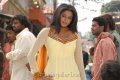 Actress Priyamani in Anna Bond Movie Stills