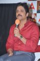 Nagarjuna @ Akkineni Nageswararao Award 2014 Announcement Photos