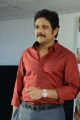 Nagarjuna @ Akkineni Nageswararao Award 2014 Announcement Photos