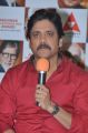 Nagarjuna @ Akkineni Nageswararao Award 2014 Announcement Photos