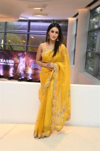 Actress Anshu Ambani Saree Pics @ Mazaaka Teaser Launch