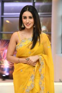 Actress Anshu Ambani Saree Pics @ Mazaaka Teaser Launch