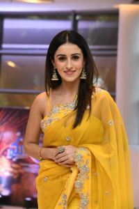 Anshu Ambani Yellow Saree Pics @ Mazaaka Teaser Launch