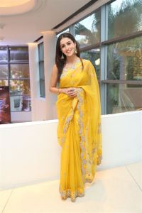 Mazaaka Movie Actress Anshu Ambani Saree Pics