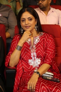 Nadhiya @ Ante Sundaraniki Pre Release Event Stills