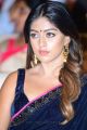 Actress Anu Emmanuel Blue Saree Photos HD @ Shailaja Reddy Alludu Pre Release