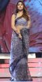Actress Anu Emmanuel Hot Saree Photos @ Agnyaathavaasi Audio Launch