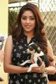 Kittu Unnadu Jagratha Actress Anu Emmanuel Images