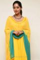 Actress Anu Emmanuel Latest Stills @ Shailaja Reddy Alludu Promotions