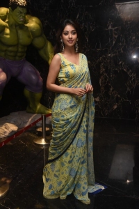 Maha Samudram Actress Anu Emmanuel Saree New Photos